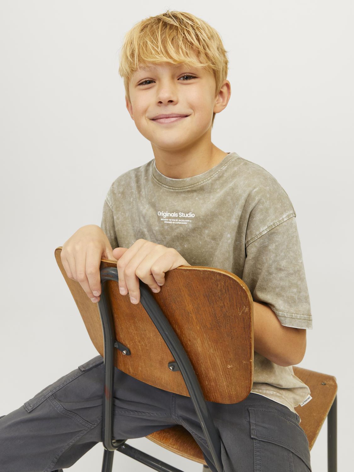 JORVESTERBRO T-Shirt - Silver Sage